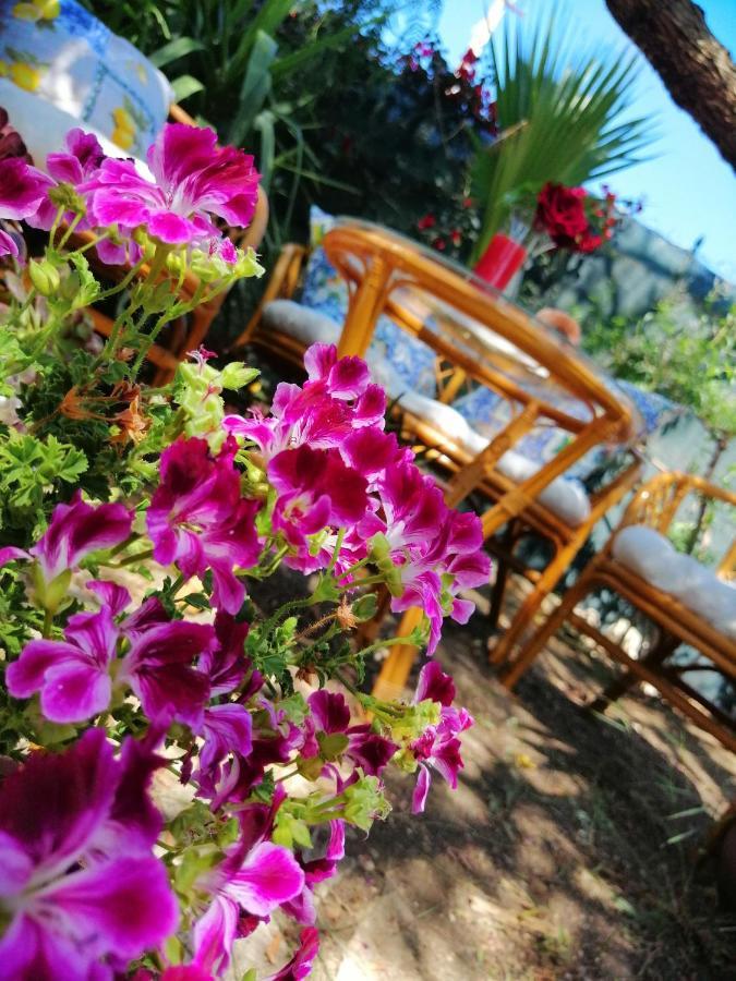 Lumie Di Sicilia Bed & Breakfast Porto Empedocle Eksteriør bilde